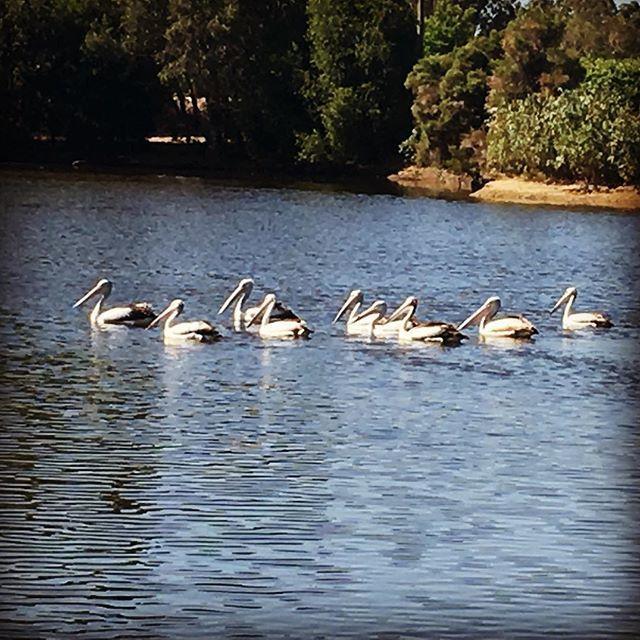 Swan Valley Sisters Henley Brook Εξωτερικό φωτογραφία